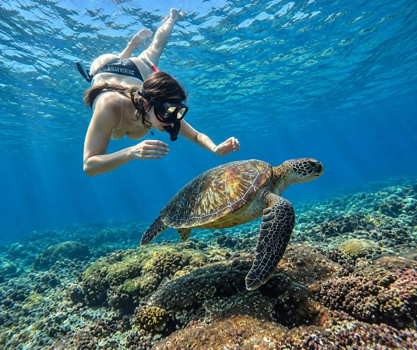 Guest snorkeling with a sea turtle above a coral reef in Nusa Penida